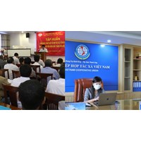 Cơ cấu tổ chức của hợp tác xã, liên hiệp hợp tác xã có giám đốc không?
