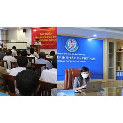 Cơ cấu tổ chức của hợp tác xã, liên hiệp hợp tác xã có giám đốc không?