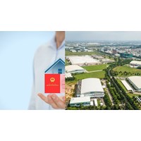 Quyền và nghĩa vụ của người sử dụng đất theo Luật Đất đai 2024
