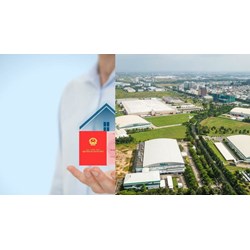 Quyền và nghĩa vụ của người sử dụng đất theo Luật Đất đai 2024