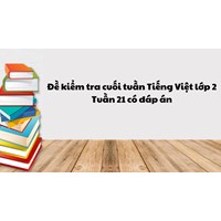 Đề kiểm tra cuối tuần Tiếng Việt lớp 2: Tuần 21 có đáp án