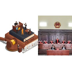 Cơ cấu tổ chức của Tòa án nhân dân cấp huyện có Tòa hình sự không?
