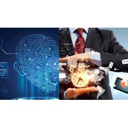 Khi nào cấp lại giấy chứng nhận tổ chức giám định sở hữu công nghiệp