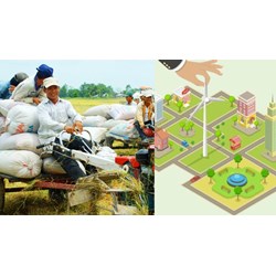 Điều kiện tổ hợp tác, HTX, liên hiệp HTX được xem xét thụ hưởng chính sách đầu tư phát triển kết cấu hạ tầng