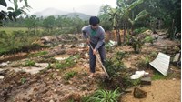 Chính sách hỗ trợ nước sinh hoạt phân tán để giải quyết tình trạng thiếu đất sản xuất