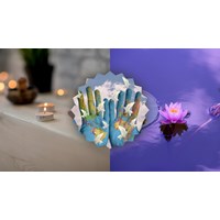 Viết thư UPU lần thứ 53: Mong thế giới không còn bạo lực và chiến tranh