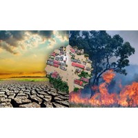 Viết thư UPU lần thứ 53: Mong thế giới không còn thiên tai hay nhất
