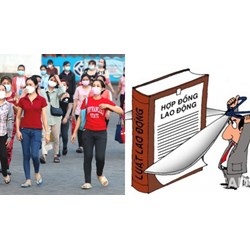 Hồ sơ đề nghị hỗ trợ mất việc do doanh nghiệp bị cắt giảm đơn hàng