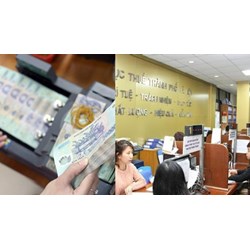 Hồ sơ xóa tiền chậm nộp thuế nợ với người nộp thuế phá sản mới