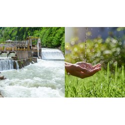 Cơ quan nào thực hiện quản lý nhà nước về tài nguyên nước?