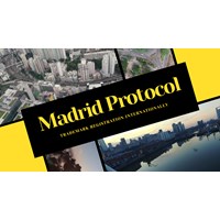 Trademark Registration Internationally under the Madrid Protocol