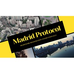 Trademark Registration Internationally under the Madrid Protocol
