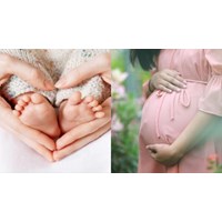 Đã nhận con nuôi, có được nhờ mang thai hộ hay không?