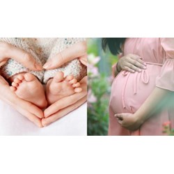 Đã nhận con nuôi, có được nhờ mang thai hộ hay không?