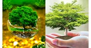 Thẩm định báo cáo đánh giá tác động môi trường thực hiện thế nào?