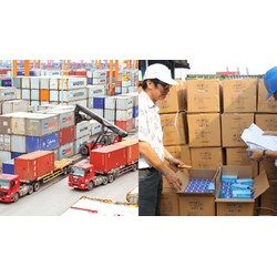 Loại hàng hóa tạm nhập khẩu, tạm xuất khẩu phải kiểm tra hải quan
