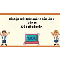Bài tập cuối tuần môn Toán lớp 5 Tuần 16 - Đề 1 có đáp án