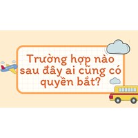 Trường hợp nào sau đây ai cũng có quyền bắt? - GDCD lớp 12
