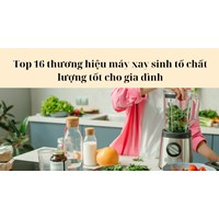 Top 16 thương hiệu máy xay sinh tố chất lượng tốt cho gia đình