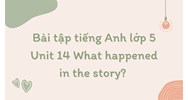Bài tập tiếng Anh lớp 5 Unit 14 What happened in the story? có đáp án