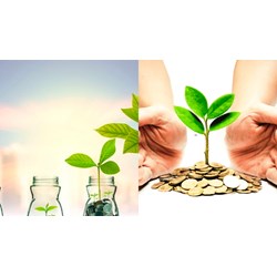 Dự án được Chính phủ áp dụng chế độ ưu đãi, hỗ trợ đầu tư đặc biệt?