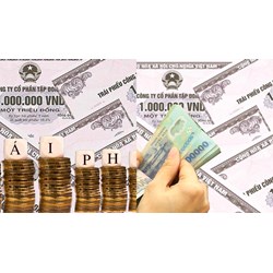 Ngân hàng Phát triển phát hành trái phiếu Chính phủ để huy động vốn?