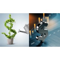 Quy định về ưu đãi đầu tư và bảo đảm đầu tư dành cho dự án PPP