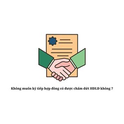 Không muốn ký tiếp hợp đồng có được chấm dứt HĐLĐ không ?