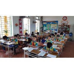 Quy định mới nhất về loại hình trường, lớp tiểu học như thế nào?