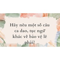 Hãy nêu một số câu ca dao, tục ngữ khác về bảo vệ lẽ phải?