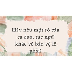 Hãy nêu một số câu ca dao, tục ngữ khác về bảo vệ lẽ phải?