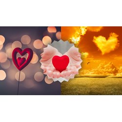 Viết thư UPU: Mong bạn kế thừa một thế giới ngập tràn yêu thương