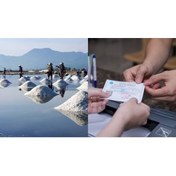 Nhà nước hỗ trợ mua BHYT cho gia đình làm nông lâm ngư nghiệp không?