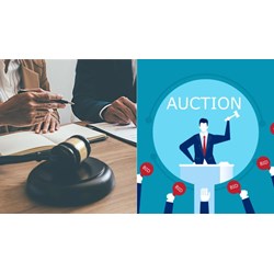 Luật sư muốn trở thành đấu giá viên được miễn đào tạo nghề đấu giá?