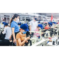 Lưu ý khi đơn phương chấm dứt hợp đồng lao động với cán bộ công đoàn?