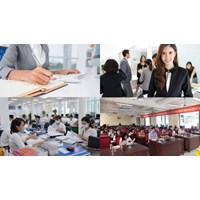 Chuyên viên về tổng hợp trong cơ quan hành chính thực hiện nhiệm vụ, công việc gì?