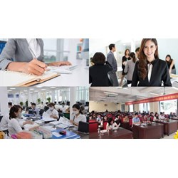 Chuyên viên về tổng hợp trong cơ quan hành chính thực hiện nhiệm vụ, công việc gì?
