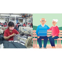 Độ tuổi lao động, độ tuổi nghỉ hưu năm 2024 như thế nào?