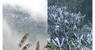 Nội dung thông tin bản tin dự báo, cảnh báo rét hại, sương muối?
