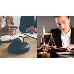 Ban Chủ nhiệm Đoàn Luật sư là cơ quan điều hành của Đoàn Luật sư?