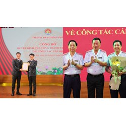 Ngạch trưởng đoàn thanh tra do Tổng Thanh tra Chính phủ thành lập
