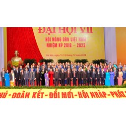 Duyệt Đề án “Hội Nông dân Việt Nam tham gia phát triển kinh tế tập thể trong nông nghiệp đến năm 2030”
