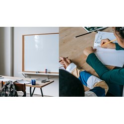 Phụ huynh có thể chuyển trường cho con khi trường có học sinh bị bạo lực?