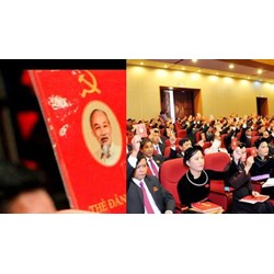 Quy định hậu quả do đảng viên vi phạm, tổ chức đảng vi phạm gây ra