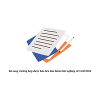 Bổ sung trường hợp được bảo lưu bảo hiểm thất nghiệp từ 15/02/2024