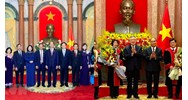 Phó Chánh án Tòa án nhân dân tối cao do Chủ tịch nước bổ nhiệm?