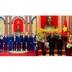Phó Chánh án Tòa án nhân dân tối cao do Chủ tịch nước bổ nhiệm?
