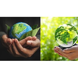 Doanh nghiệp phải bố trí nhân sự phụ trách bảo vệ môi trường khi?