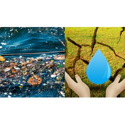 Thủ tục nhập khẩu sản phẩm xử lý môi trường nước trong nuôi trồng thủy sản