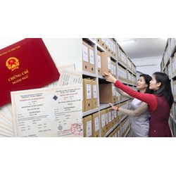 Bãi bỏ chứng chỉ ngoại ngữ, tin học đối với viên chức thư viện